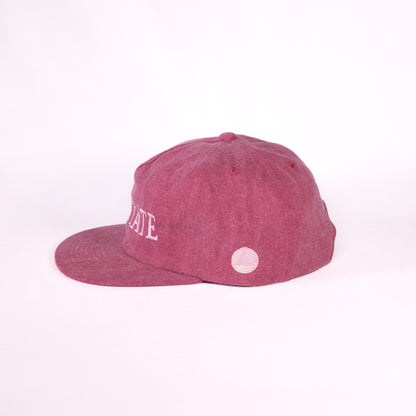 Field Trip Hat